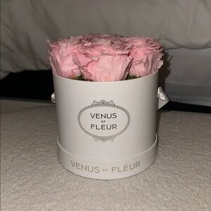 Venus et Fleur Pink Rose Arrangement